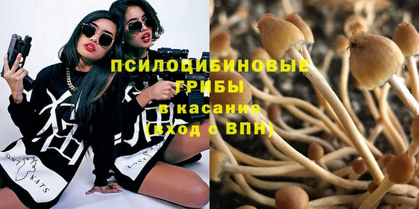 соль курить ск Алексин