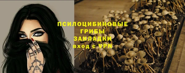 твердый Алексеевка