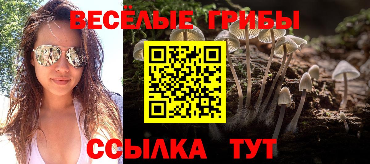 где купить наркоту  Псилоцибиновые грибы прущие грибы  Вход с VPN  Темрюк 
